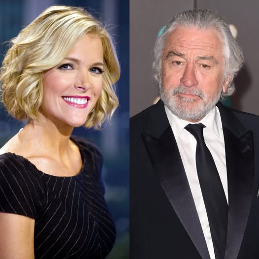 Robert De Niro Silences Megyn Kelly Live On Air With Eight Chilling Words—Fans Say They’ve Never Seen Her So Speechless