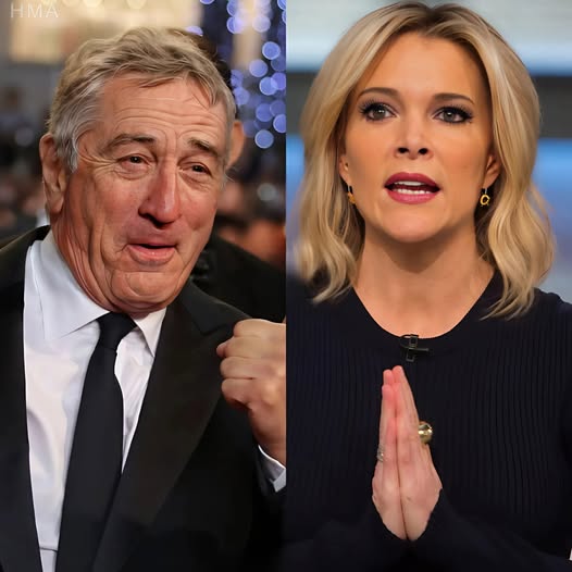 BREAKING DRAMA: Robert De Niro Silences Megyn Kelly Live On Air With Eight Chilling Words—Fans Say They’ve Never Seen Her So Speechless