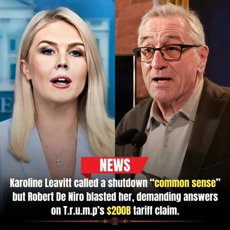 NATIONAL COLLAPSE: Karoline Leavitt, Trump’s chief cheerleader, says the government shutdown is “common sense” — But Robert De Niro criticizes her on live TV: “Trump swears America makes $200 billion a month from tariffs — So why are we bankrupt and letting people starve?”-TT