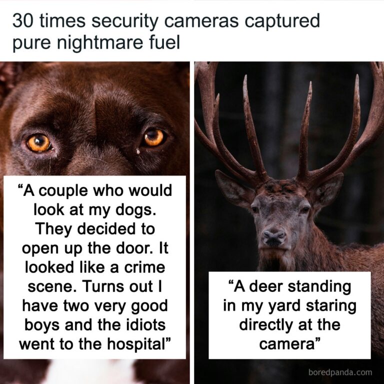 30 Times Security Cameras Captured Pure Nightmare Fuel