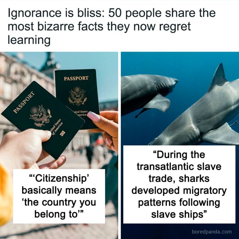 Ignorance Is Bliss: 50 People Share The Most Bizarre Facts They Now Regret Learning